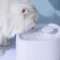 Bebedouro Automático Fonte de Água 3L para Cães e Gatos